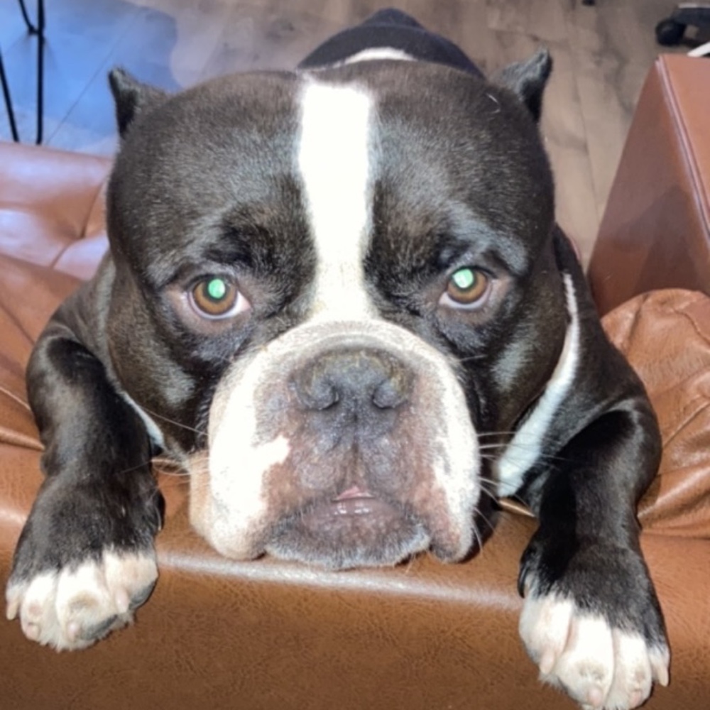 Meet your Posher, Ryan